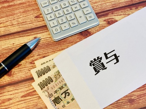 お母さん「アンタ、ボーナスいくら貰ったの？」ワイ「貰ってない」→