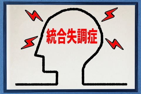 「統合失調症」とかいうなんかカッコいい病気ｗｗｗｗｗｗ