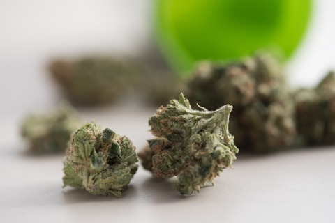 【画像】女さん「大麻バター作りまーす！」→ガチの大麻で作り始めてしまうｗｗｗｗｗ