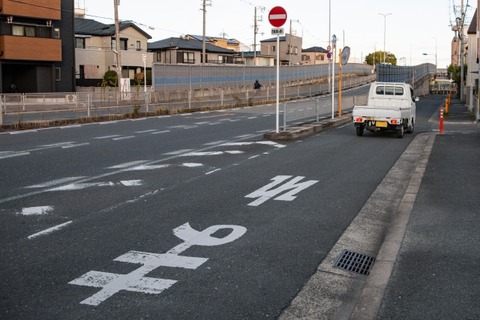 彡(ﾟ)(ﾟ)「あっ！対向車が逆走しようとしてる！加速して妨害しなきゃ！」→結果(動画ｱﾘ)
