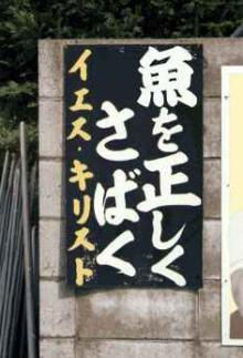 4217427240_b6583acc61