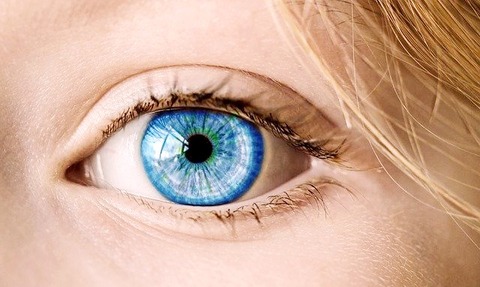 【画像】この画像が何に見えるかで目の健康状態がわかるぞｗｗｗｗｗｗｗｗｗ