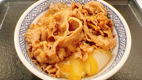 【画像】10年前の牛丼屋さん、今では考えられない値段だったｗｗｗｗ