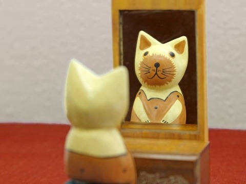 【悲報】鏡に映るワイ「なかなかのイケメンだなぁ」　たまにスマホで写すワイ「…」→