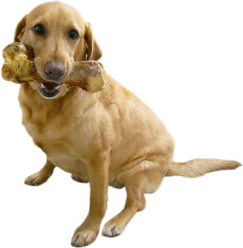 mimi_giant_bone