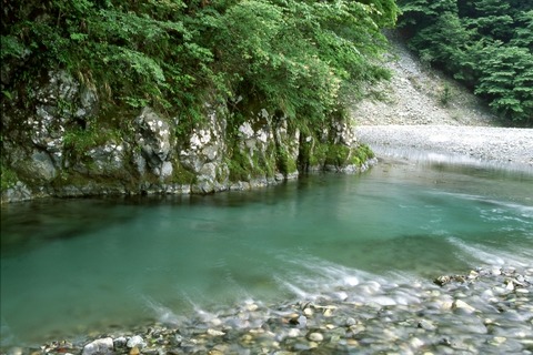 【玄倉川水難事故】「放っておいて。楽しんでんだよ！」「殴るぞ。失せろ！！！」【DQNの川流れ】