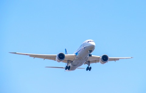 飛行機「バードストライク怖いなあ…せや！！！」