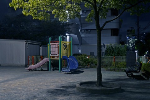 公園前に住んでいるんだけど夜中に公園でバカ騒ぎしている若者がいるから通報した結果ｗｗｗｗｗ