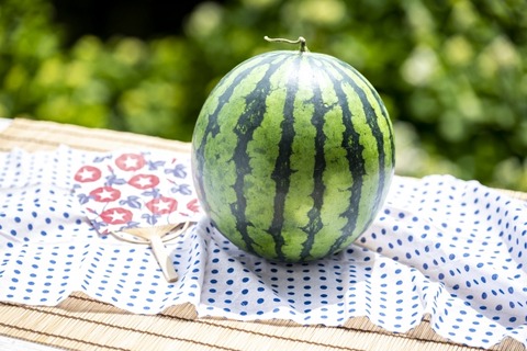 【悲報】メキシコのスイカ、中から出てきたモノがヤバすぎて世界を震撼させてしまう・・・