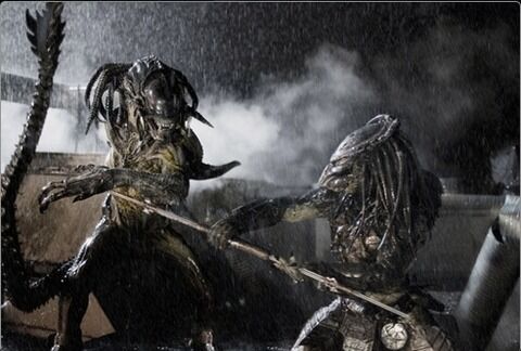 avp2