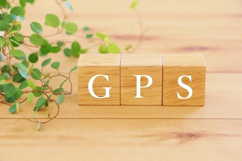 【画像】ワシにGPS付けて20年間追跡した結果がこちら…