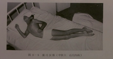 0530fa1382c9d4832e3d6adcdf74341b
