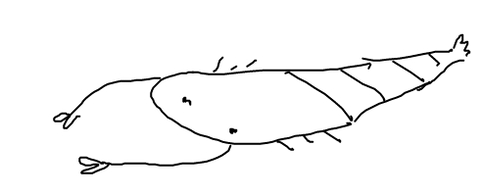 livejupiter-1602763266-12-490x200