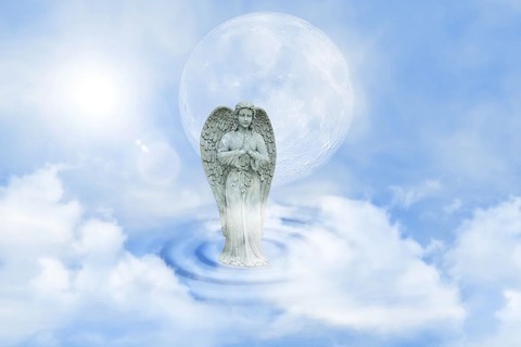image (5)