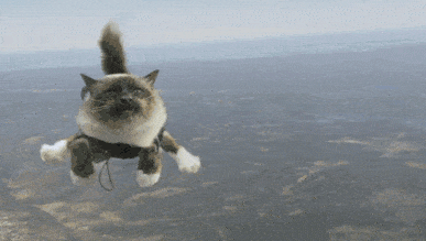 Gif ヒェッ ってなるgif画像クレメンス うしみつ 2ch怖い話まとめ 記事コメント 1 Gif ヒェッ ってなるgif画像クレメンス うしみつ 2ch怖い話まとめ 記事コメント 1