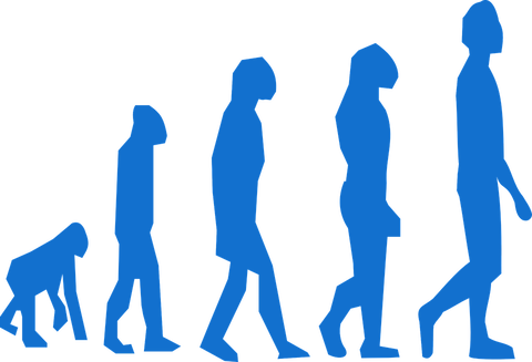 evolution-296400_960_720