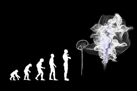 evolution-g466bd51fe_640