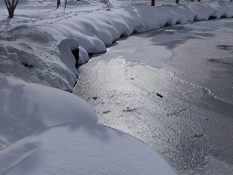 【動画】ロシア人、遊泳中に氷が張ってしまった結果・・・