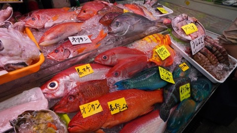 【閲覧注意】魚屋さん「アニサキスは冷凍すれば死にます」ワイ「ちょっと待ってください、魚屋さん」→