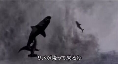 sharknade-500x275