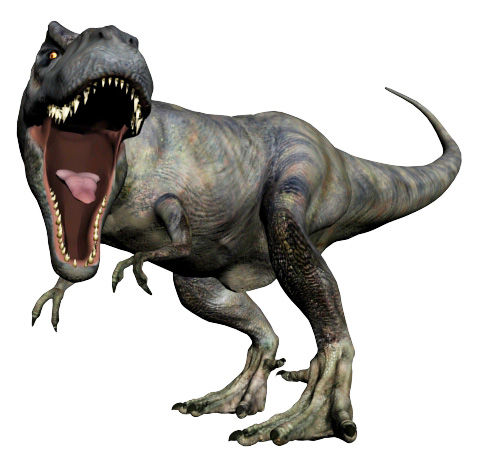 rex2