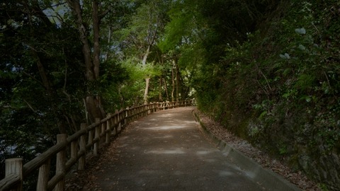 夏祭りに「禁足地」に行った話…