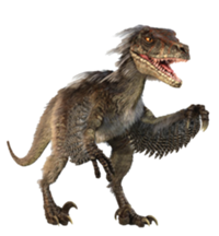 Velociraptor_infobox