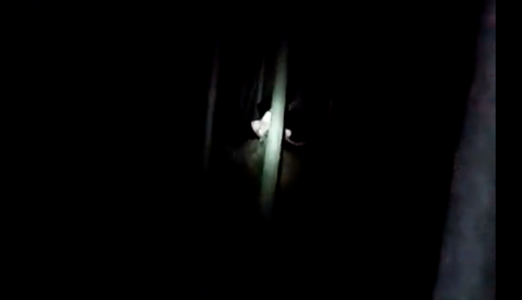 d4499198b4fe4b01f0107f5dc23c0969