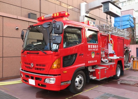 【閲覧注意】養蜂家「このようなものを見ても怖がらないでください.。消防士や警察に通報しないでください…」