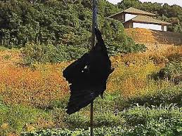 images (1)