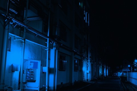 【闇深】77才の母親が41才の息子と共に餓死した事件、日記の怖さは異常だよな・・・・・
