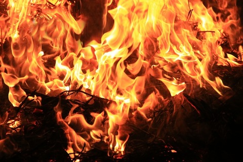 彡(ﾟ)(ﾟ)「江戸が燃えとる、このままじゃ囚人焼け死ぬなぁ…せや！！」