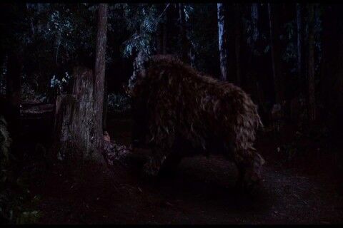 PDVD_041