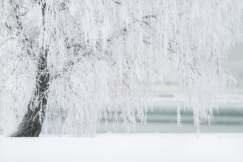 winter-1367153_960_720