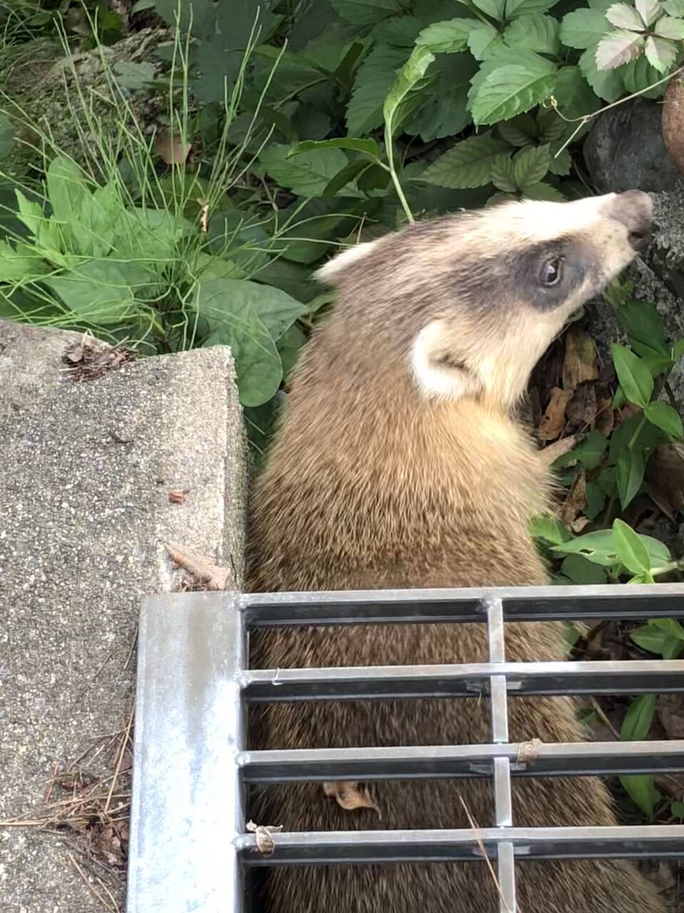 no title