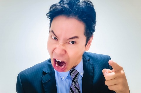 【呆然】底辺社畜やが、上司に「辞めちまえ！！」と言われたのでシステム捨てて辞めた結果ｗｗｗｗｗｗｗｗ