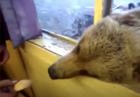 c581a6e64a1c8e0dcbd5de8413bbebbb