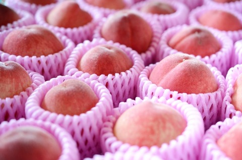 【悲報】彡(^)(^)「この桃おいしいね。どこ産？」彡(^)(^)「福島です」→結果ｗｗｗｗ