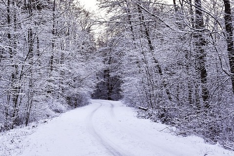winter-3952613_640