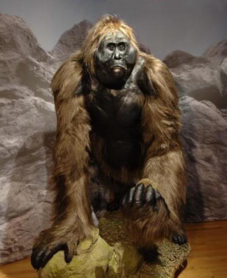 reichou-ho-Gigantopithecus