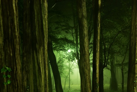 日本の闇の深い地域について知ってる奴.…