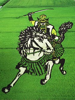 250px-Sengoku_busho_of_rice_field_art