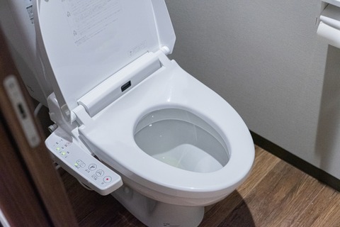 【画像】「トイレのフタを開けたまま流してはいけない」理由がこちら