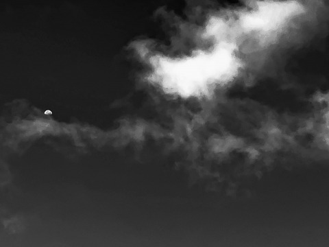 人間が発明した一番罪深いもの・・・