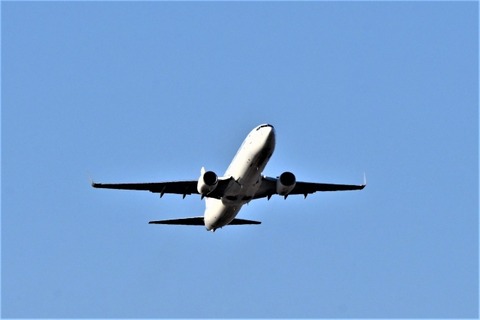 【画像】JAL、ファーストクラス機内食が1人分足りなかった結果ｗｗｗｗｗ