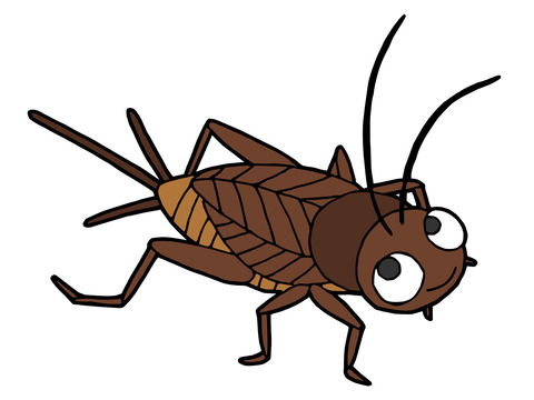 【閲覧注意】寄生されたコオロギ「ｼﾃ…ｺﾛｼﾃ…ﾓｳｺﾛｼﾃｸﾚﾒﾝｽ……」