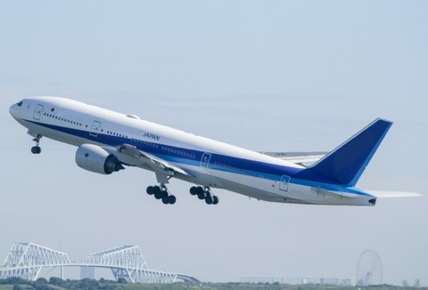 【悲報】JALさん、客の愛犬を蒸し焼きにしてしまう・・・