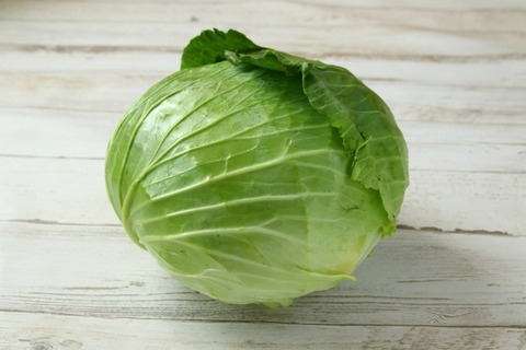 【画像】彡(ﾟ)(ﾟ)「どう見てもキャベツやろ」彡(ﾟ)(ﾟ)「いやレタスやろ」→