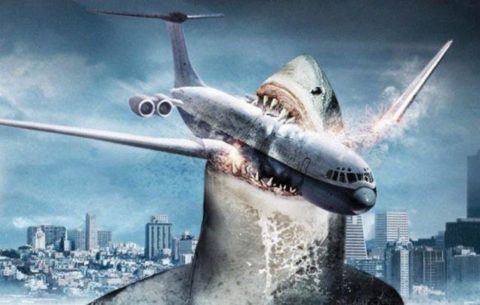 o06360404140501sharkmegalodon