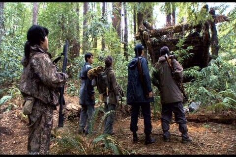 PDVD_036